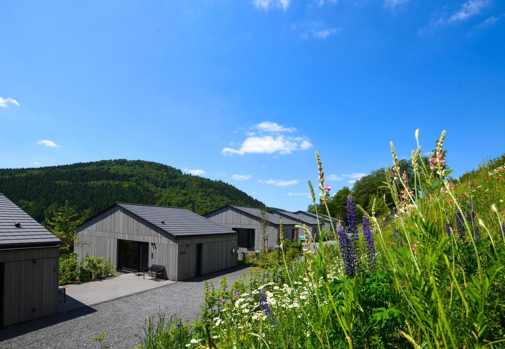 Sauerland Lodge - Haus Julius Винтерберг Екстериор снимка